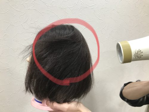 現役美容師が現場で１番してる髪の毛をサラサラにする乾かし方とは 美容師が伝える髪ブログ